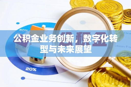 新乐公积金业务创新，数字化转型与未来展望