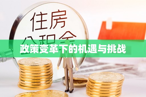 新乐政策变革下的机遇与挑战