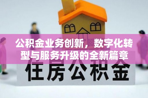 新乐公积金业务创新，数字化转型与服务升级的全新篇章
