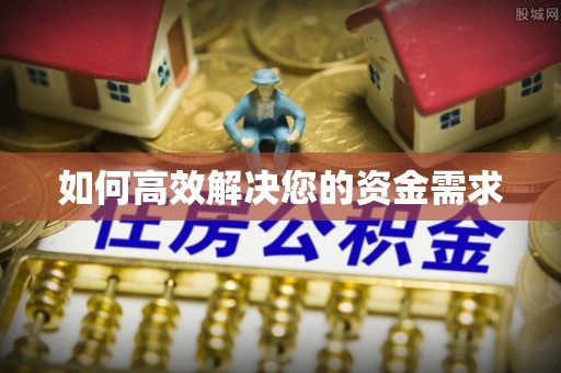 新乐如何高效解决您的资金需求