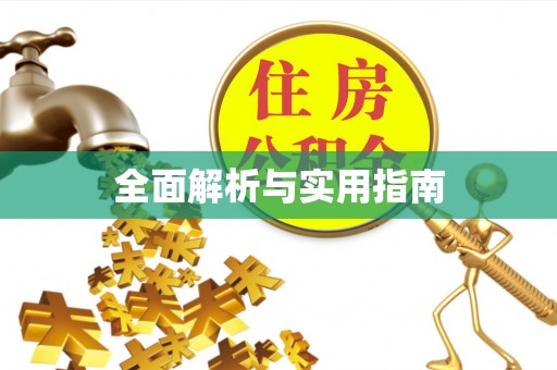 新乐全面解析与实用指南