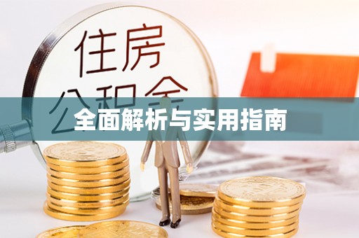 新乐全面解析与实用指南